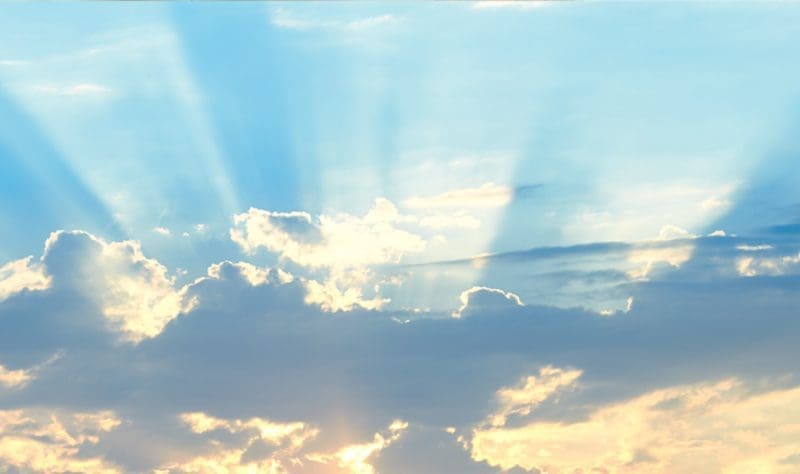 Confiance, gratitude, colère et déception