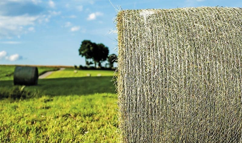L’approvisionnement du pays serait menacé
