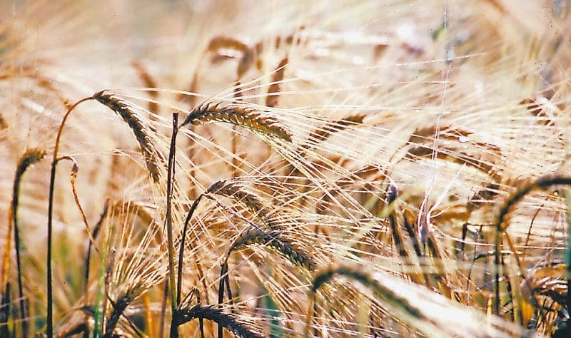 Grosser Schaden für die Wirtschaft