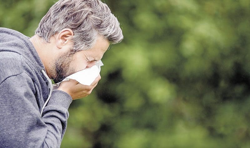 L’essentiel du pollen et Cie
