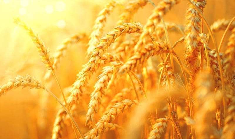 Initiatives agricoles: 2 × un non clair