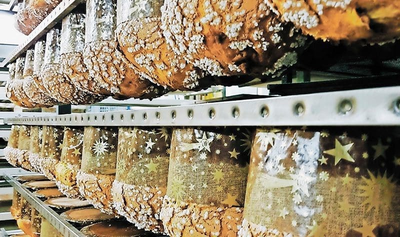 En quête du secret des panettones
