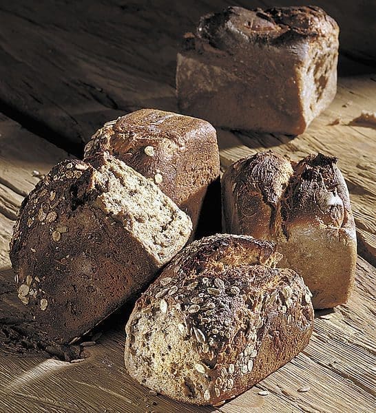 Hebel, Sauerteig und lange Triebführung