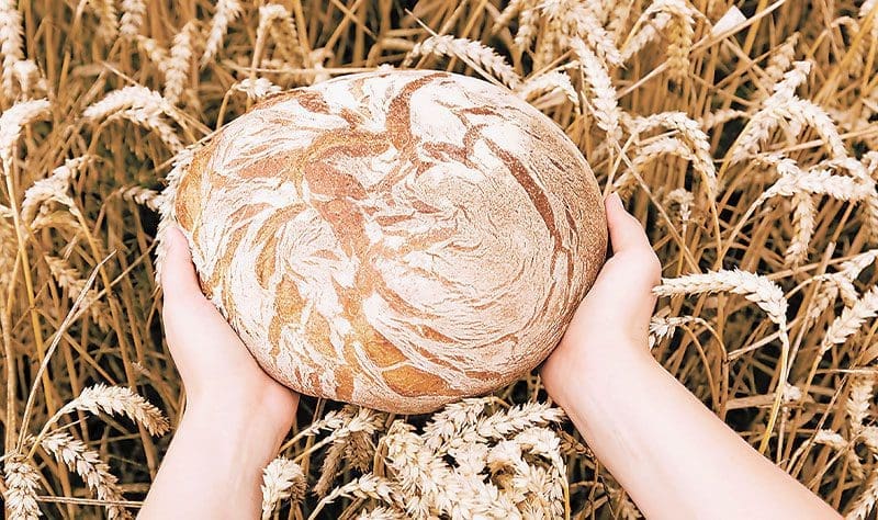 Préparer les céréales, la farine et le pain pour affronter l’avenir