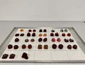 Dégustation Competition «Wildfruchtdestillat-Praliné»