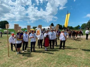 Chevaliers jurassiens au marché-concours
