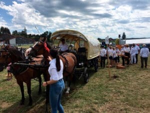 Chevaliers jurassiens au marché-concours