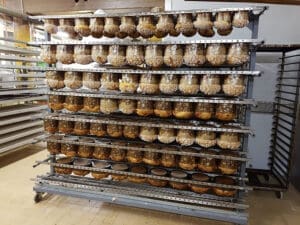 Panettone Lugano
