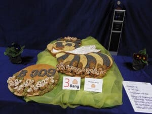Kreativa, Weinfelden