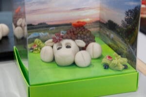 Creativa, Aarau