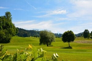 Swiss Baker Golf Trophy 2019