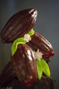 Chocolatissimo
