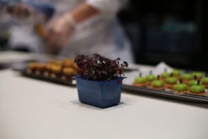 Swiss Finger Food Trophy, Bulle, 12/17