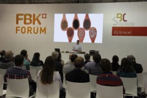 FBK 2019, mardi
