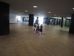 Visite à la frontière à Schaffhouse