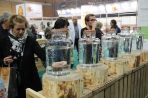 Swiss Bakery Trophy 2016
