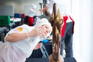 SwissSkills 2017: journée 1 de compétition, 11/17