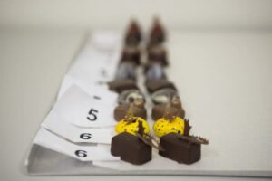 SwissSkills 2017: journée 2 de compétition, 11/17