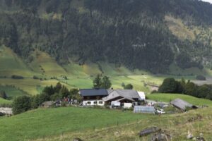 BROTFEST IN ÖSTERREICH