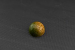 Concours du praliné à l&rsquo;eau-de-vie 2024