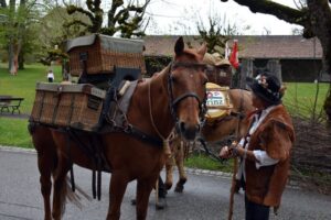 Chevaliers jurassienns et Tête de Moine