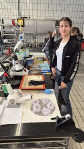 3-Länder-Lehrlingswettbewerb der Konditoren in Freiburg (DE)