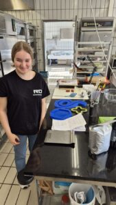 3-Länder-Lehrlingswettbewerb der Konditoren in Freiburg (DE)