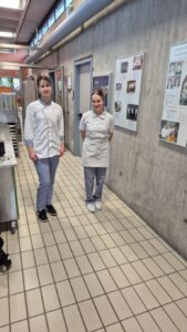 3-Länder-Lehrlingswettbewerb der Konditoren in Freiburg (DE)