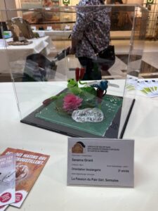 Expo «Weltrekord» der Freiburger Lernenden