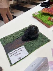 Expo «Weltrekord» der Freiburger Lernenden