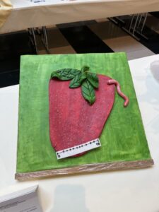 Expo «Weltrekord» der Freiburger Lernenden