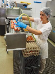 Produktion vom Steiner-Beck