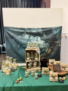 Creativa in Aarau